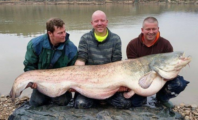  Great fishing 